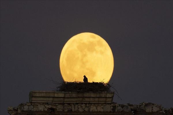 آخرین شب سال که ماه کامل خواهد بود