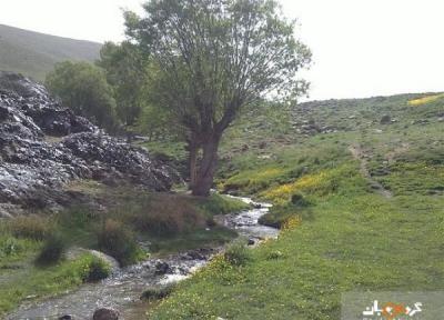 سفر به سرزمین سرسبزی و طراوت، آبشاری در دل طبیعت