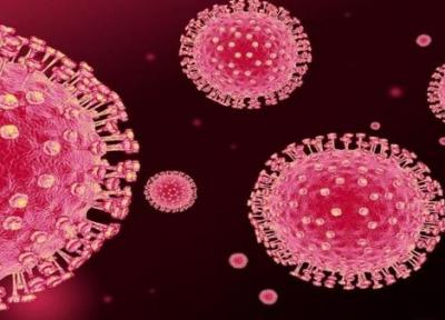 شناسایی 187 مورد نو مبتلا به کرونا ویروس در ایلام