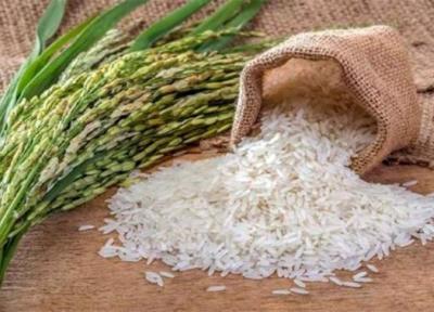 افزایش ذخایر استراتژیک برنج در کشور