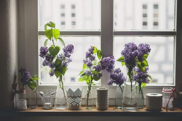 این گیاهان آپارتمانی فضای اتاق را خوشبو می نمایند