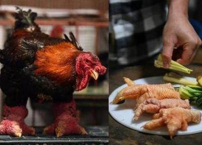 خوردن پای مرغ اژدهایی به وسیله ثروتمندان ویتنامی (تور ویتنام)